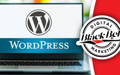 Why We Build Websites with WordPress